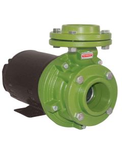 BOMBA SCHNEIDER BC-92 S F 2.1/2 2,00 CV 110/220V MONOF