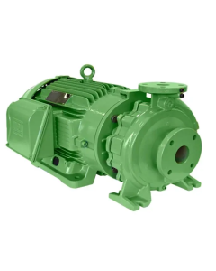 BOMBA SCHNEIDER FIT 080-050-250 F 4P 5,00 CV 220/440V MONOF