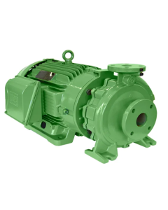 BOMBA SCHNEIDER FIT 100-065-125 F 4P 1,50 CV 220/440V MONOF