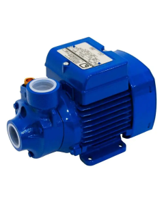 BOMBA KSB P-1000 1,00 CV 220V MONOF