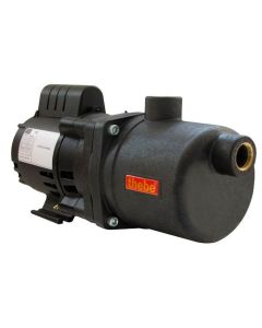 BOMBA THEBE APP-13 MOTOR WEG 0,33 CV 110/220V MONOF