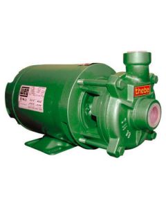 BOMBA THEBE TH-11 MOTOR WEG 1,00 CV 110/220V MONOF