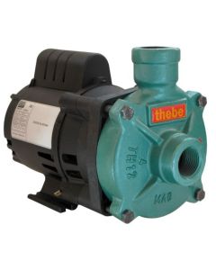 BOMBA THEBE THA-12 BR MOTOR WEG 0,50 CV 110/220V MONOF