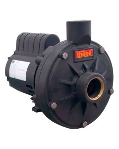 BOMBA THEBE TH-16 P MOTOR WEG 1,50 CV 110/220V MONOF