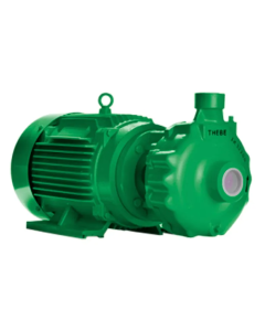 BOMBA THEBE TH 32-200 ROSCA 15,0 CV 220V MONOF