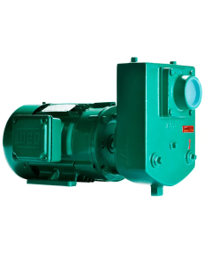 BOMBA THEBE AEX-1 MOTOR WEG 1,50 CV 220/380V TRIF