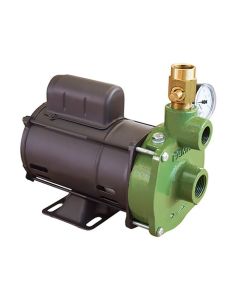BOMBA INJETORA FAMAC FIG-P 1,00 CV 220V MONOF
